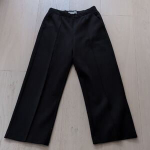 Everlane Wide Leg Pants in Black